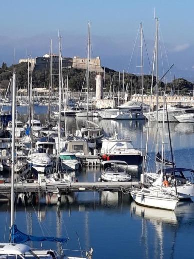 Les Violettes 3 Pieces Centre Ville Antibes Esterno foto